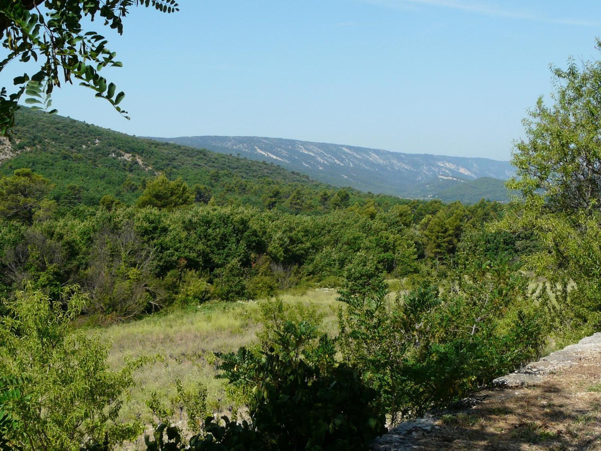 19Th Century Provencal Mas With Pool In Provence In The Luberon, Sleeps 6 Βίλα Lacoste  Εξωτερικό φωτογραφία